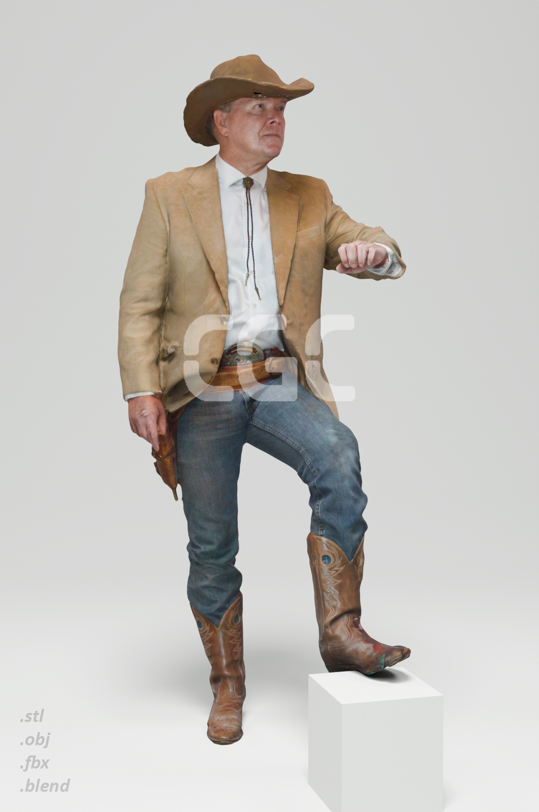 David Western 2