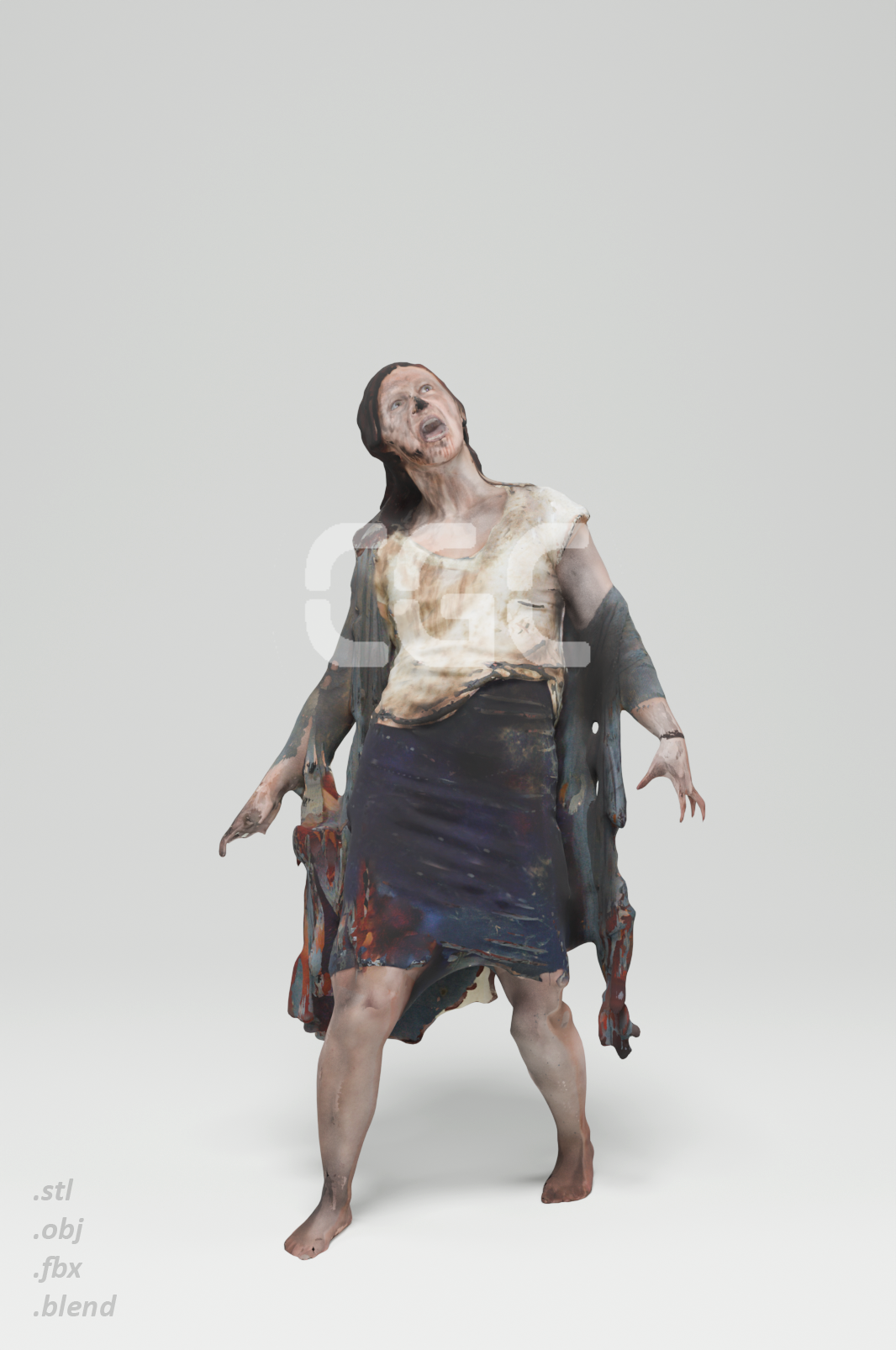 Mary Zombie 1