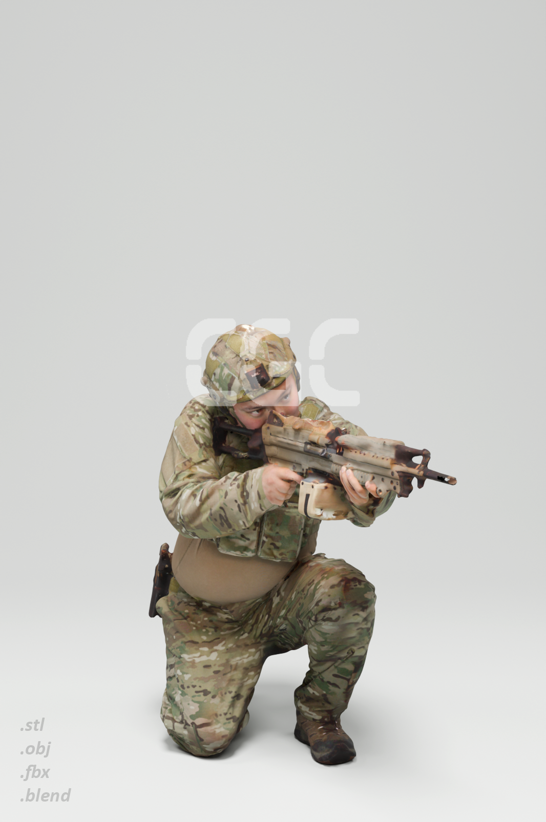 Multicam Soldier 3