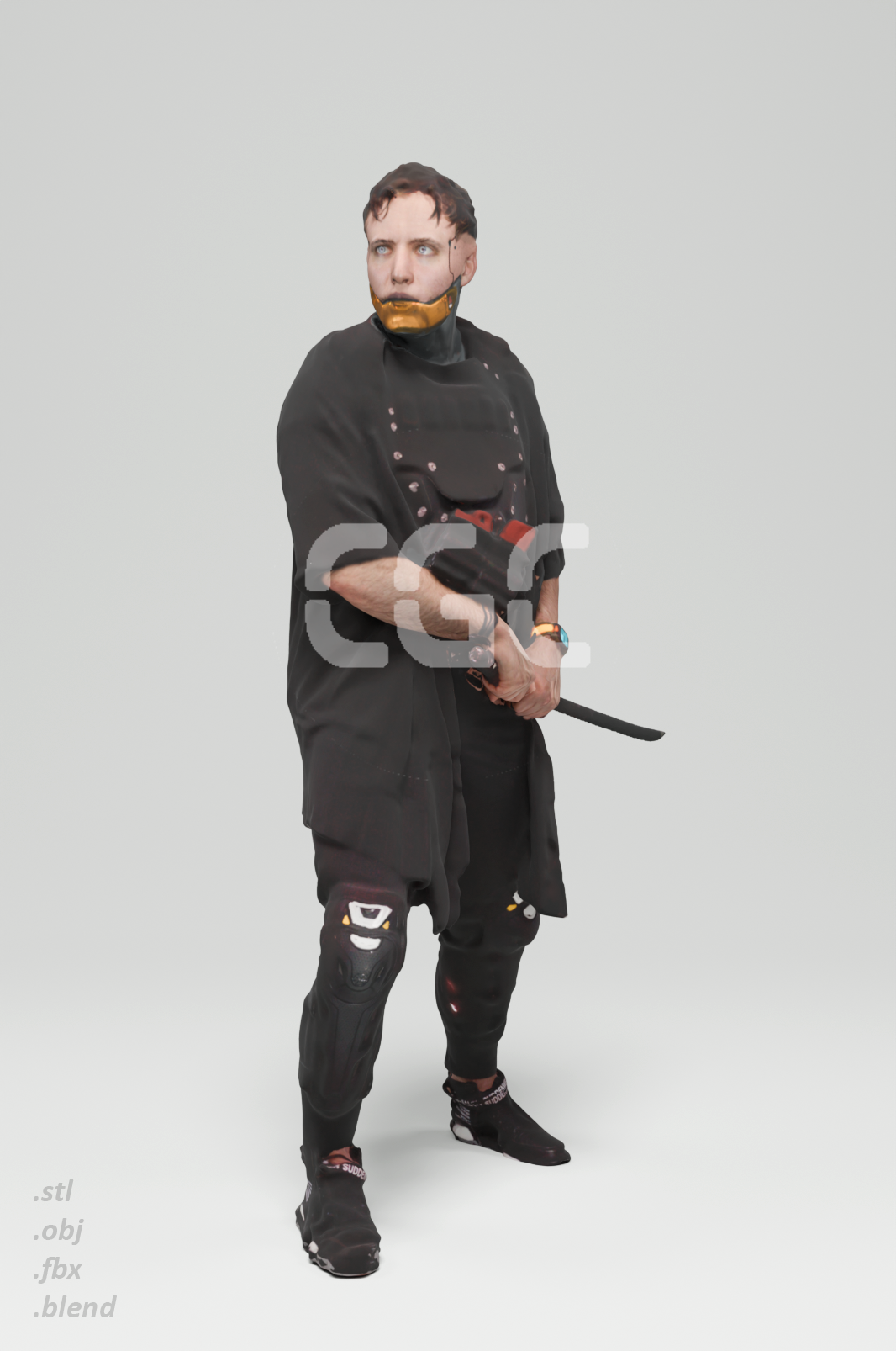 Cyberninja 1