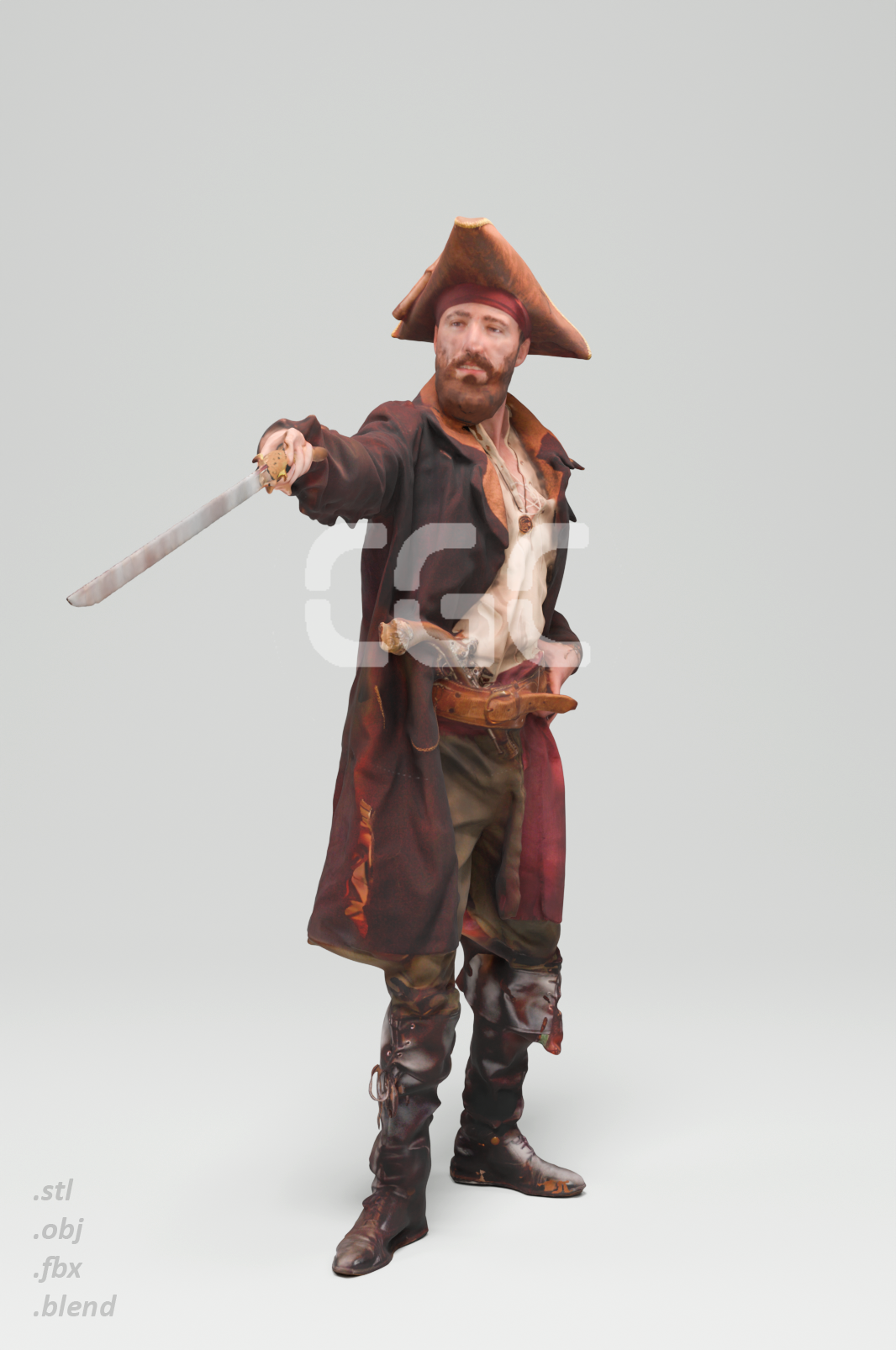 Pirate Captain 2