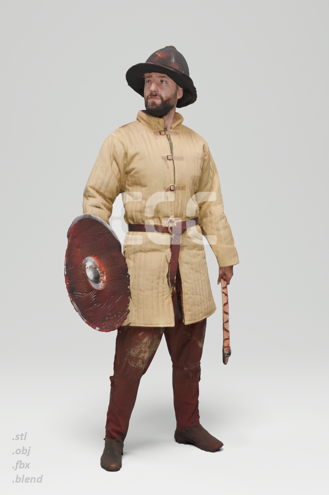 Justin Medieval 1